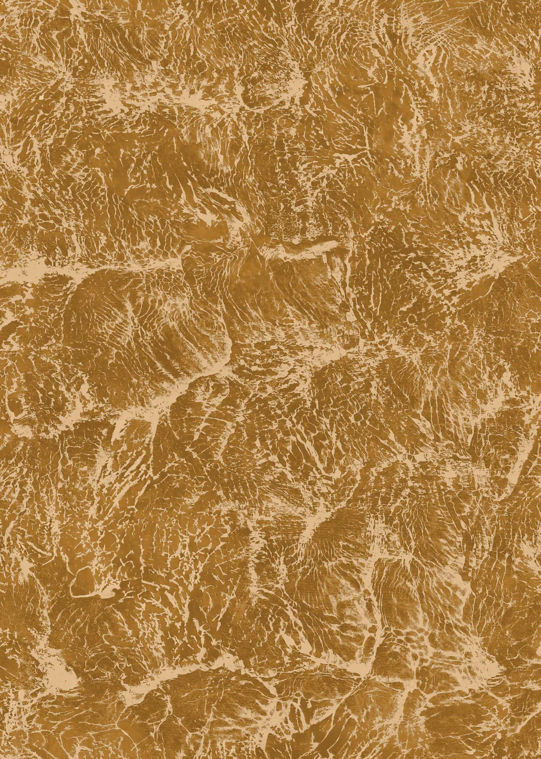 Sepia B00200